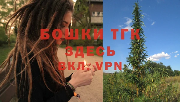 2c-b Новозыбков
