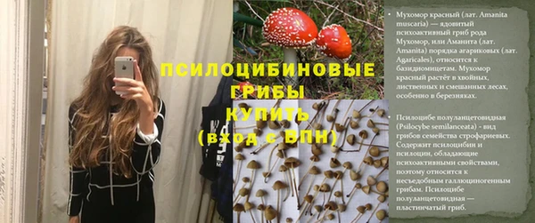 мет Новодвинск