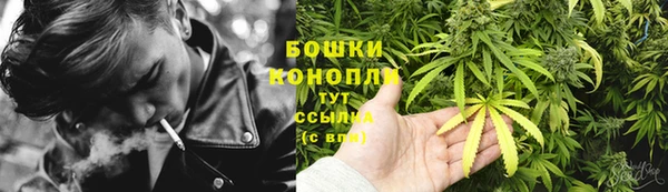 Альфа ПВП Нея