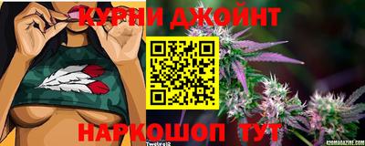 мяу мяу мука Гусиноозёрск