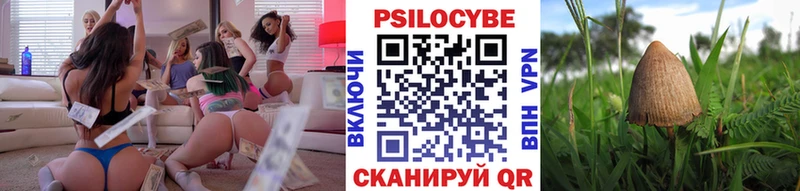 закладки  Кировск  omg онион  Галлюциногенные грибы Psilocybe 