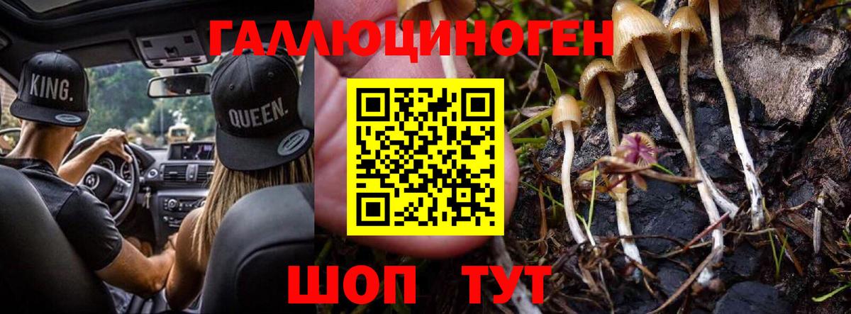 Псилоцибиновые грибы прущие грибы Кировск