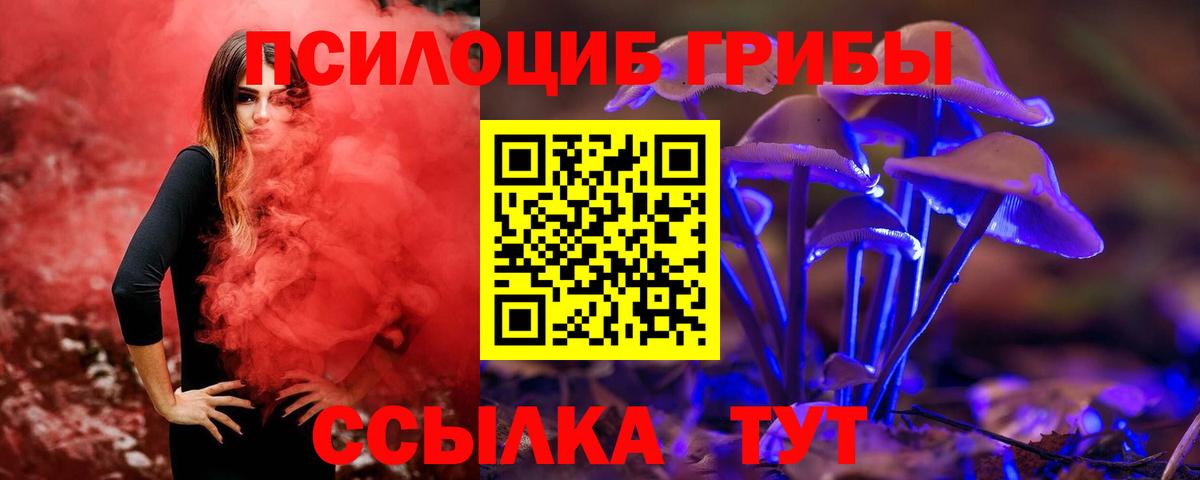 Галлюциногенные грибы мухоморы  Вход с VPN  Кировск 